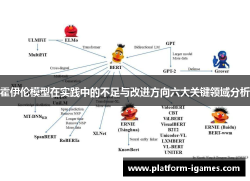 霍伊伦模型在实践中的不足与改进方向六大关键领域分析