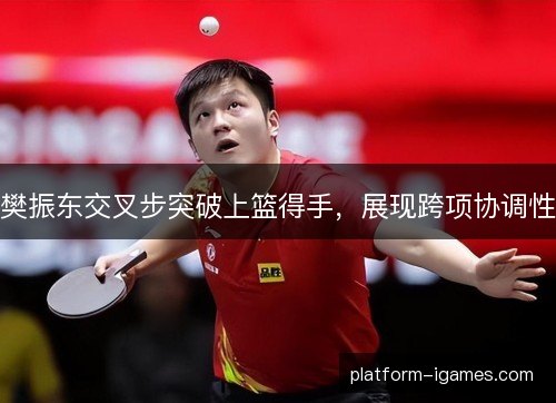 樊振东交叉步突破上篮得手,展现跨项协调性 樊振东交叉步突破上篮得手,展现跨项协调性